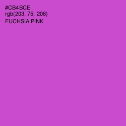 #CB4BCE - Fuchsia Pink Color Image